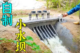 荒野建造：越南小伙使用原始技术，徒手搭建水坝，手艺堪比匠人！视频封面