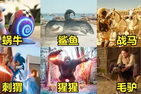 这六种影视里的动物奔跑速度，你觉得哪个更快？跑得飞快的战马