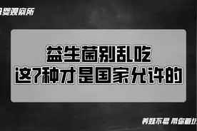 益生菌别乱吃，这几种才是国家认可的！视频封面
