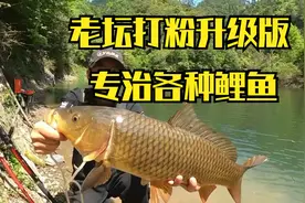 老坛打粉升级版专攻大鲤鱼饵料配方，再也不用买破壁机了视频封面