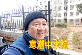 青岛冷空气，李沧下了小冰雹，我家小院绣球苗和多肉怎样保护了？视频封面