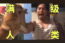 那一天，我感受到了被满级人类支配的恐惧视频封面