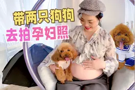孕妈妈带着狗狗拍孕妇照，爱臭美的小泰迪太抢镜了，好暖！视频封面