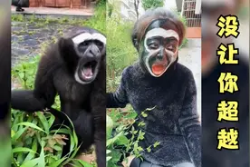 盘点全网高能搞笑模仿达人，只有你想不到，没有他做不到