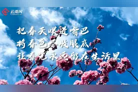 吃花季，快来云南解锁“春天的味道”视频封面