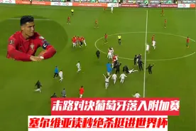 世预赛末路对决葡萄牙1-2落入附加赛 塞尔维亚读秒绝杀挺进世界杯视频封面