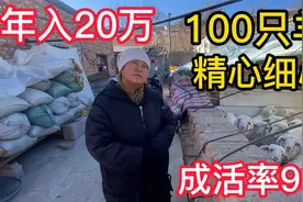 内蒙养殖户无私分享养羊经验，100只羊年赚20万，没睡过一个好觉视频封面