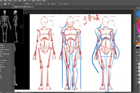 人体绘画练习骨骼篇：了解男性女性骨骼的区别视频封面