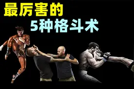 十分厉害的5种格斗术！