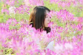 深圳湾公园有个花海：“流花山”，20日起向市民开放视频封面