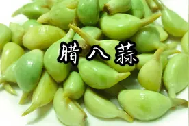 冬至一过，腊八蒜就可以腌制起来了，又脆又绿！视频封面