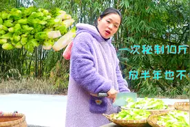 四川儿菜很多人都看不懂，今天教老板特色秘制，鲜香脆爽开胃下饭视频封面
