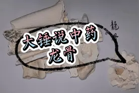 大锤说中药-龙骨视频封面