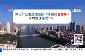 粤来粤精彩 为什么这些文化强IP来自广东 广东打造文化...