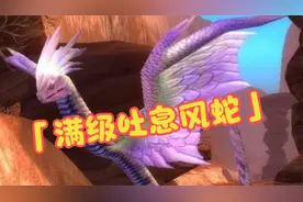 【魔兽世界TBC】风蛇都是猎人必备的宝宝，这里有高等级吐息风蛇