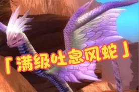 【魔兽世界TBC】风蛇都是猎人必备的宝宝，这里有高等级吐息风蛇视频封面