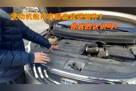 发动机舱内到底有哪些部件？开车十年都未必懂得，老司机现场详解视频封面