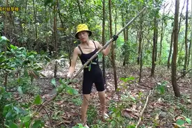 美女黎嫂参加荒野求生，凭借惊人手艺赢得了第一名，有百万奖金！视频封面