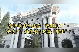 清华学生毕业后都“去哪儿了”：去大厂，进体制？还是“躺平”？视频封面