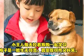 小主人每天拉着狗狗一起学习，狗子是一脸生无可恋，真可怜又好笑视频封面