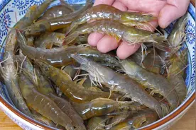 煮大虾时，不要直接加水煮，今天教你正确方法，虾肉鲜嫩好吃解馋视频封面