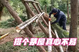 云南小伙在大山盖茅屋完整版，滇东三哥花3天时间建盖想隐居于此视频封面