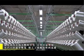 中国平煤神马集团帘子布公司：2020，我们一起走过视频封面