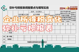 上国会税务管理师CTM课程，企业所得税年报弥补亏损报表该这么填视频封面