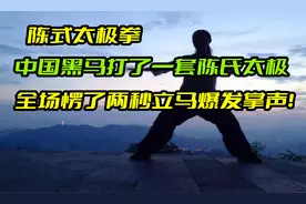 武道大会中国黑马打了一套陈氏太极，全场愣了两秒立马爆发掌声！视频封面