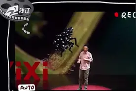 我不是网红，我是老师：浙江理工大学教师——杨小峰视频封面