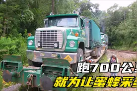 澳大利亚卡车司机，运3000万只蜜蜂坐火车，140米卡车都敢爬斜坡视频封面