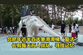 合肥年近半百大象滑滑梯“复活”，长假每天万人排队，寻找记忆视频封面