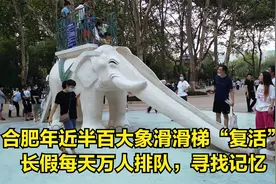 合肥年近半百大象滑滑梯“复活”，长假每天万人排队，寻找记忆视频封面