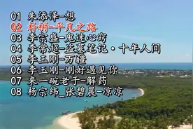 歌曲《来一碗老于-解药、张碧晨-凉凉》特别好听，强力推荐哦