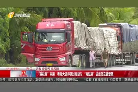 台风“森拉克”来袭：粤海大道停满过海货车 进出岛交通受阻