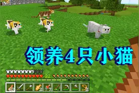 我的世界24：苦力帕的天敌！一次领养4只猫，跟意外死亡说再见！