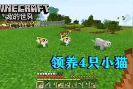 我的世界24：苦力帕的天敌！一次领养4只猫，跟意外死亡说再见！