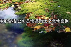 政审不合格 公务员惨遭淘汰之悲惨案例【转载】视频封面