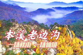 一场秋雨把老边沟变成了仙境，云海飘渺如梦幻，枫叶红了惹人醉