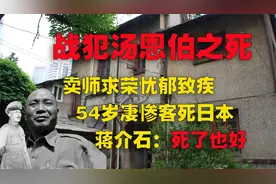 汤恩伯卖师求荣，到台湾后遭蒋介石弃用，忧郁致疾，54岁客死日本视频封面