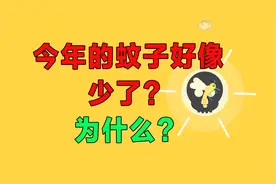 今年的蚊子好像少了？为什么？而且地球不能没有蚊子？