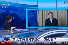 总量近3亿 建筑工地多数都是超龄农民工？农民工群体“三高”现象视频封面