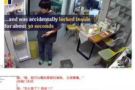 中国的一只猫不小心被锁在冰箱里,外国网友惊讶视频封面