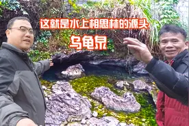罗城县的水上相思林，林下的泉眼星罗棋布，最神秘的就是乌龟泉了视频封面