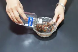 花椒加白酒一起用，真是厉害，解决了好多人的烦恼，都学学