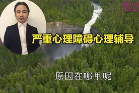 精神分裂症幻觉背后的原因破解了，幻觉自然就消失了视频封面