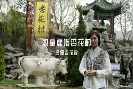 杜牧笔下的杏花村，就在山西汾阳，那里杏花盛开，美如画卷视频封面