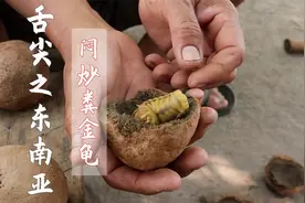 尹阮氏｜粪金龟，推屎爬的远亲，东南亚人竟将其做成美食视频封面