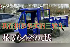 三轮车收到了在拼多多上买的三轮车收到了过程很气人也很曲折机动视频封面