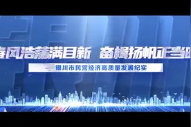 春风浩荡满目新 奋楫扬帆正当时—银川市民营经济高质量发展纪实视频封面